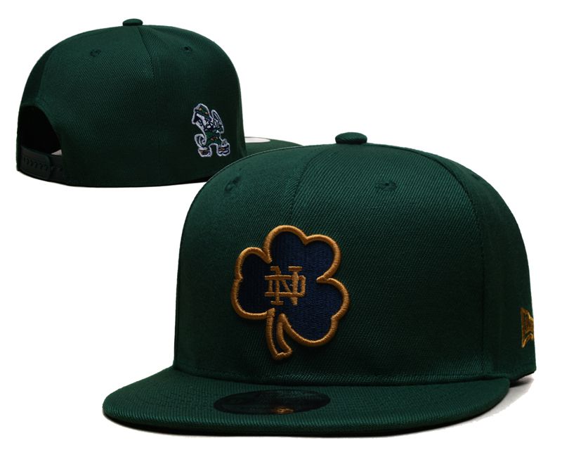2025 NCAA Norte Dame Fighting Irish Hat YS2025410